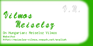 vilmos meiselsz business card